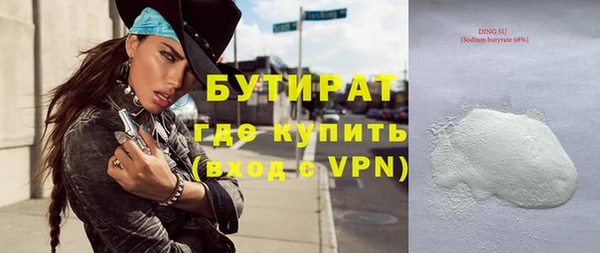 сатива Беломорск