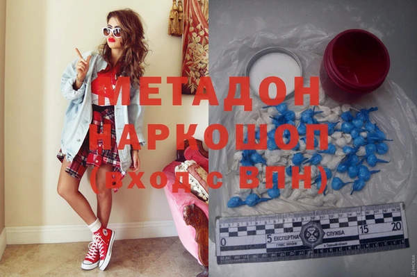 сатива Беломорск