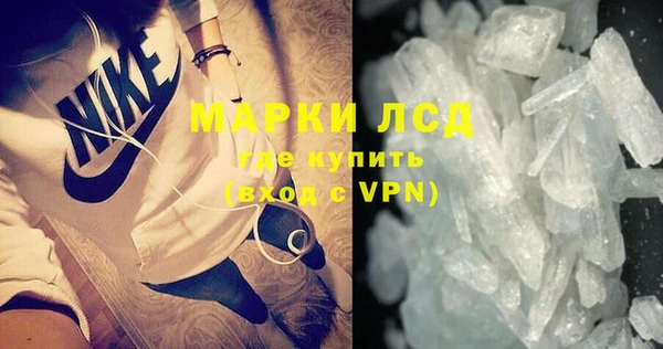 сатива Беломорск