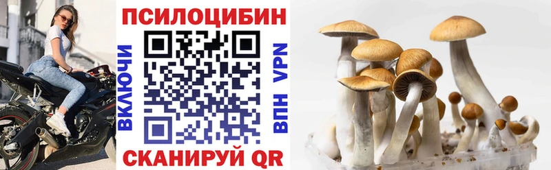 ссылка на мегу ССЫЛКА  Шагонар  Галлюциногенные грибы Psilocybe  что такое наркотик 