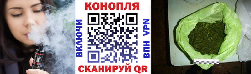 Бошки Шишки планчик  Шагонар 